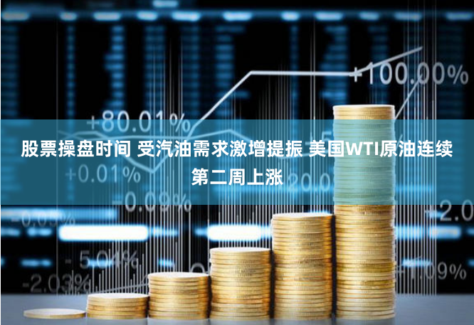 股票操盘时间 受汽油需求激增提振 美国WTI原油连续第二周上涨