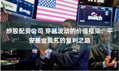 炒股配资公司 穿越波动的价值框架：平安基金莫艽的复利之路
